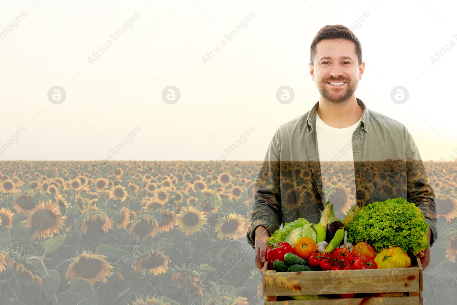 Image of Double exposure of happy farmer and sunflower field. Space for text