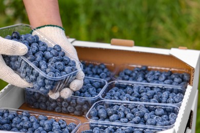 Photo of Man with containers of fresh blueberries outdoors, closeup. Seasonal berries