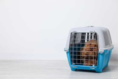 Photo of Travel with pet. Fluffy dog in carrier on floor indoors, space for text