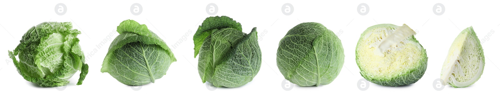 Image of Set of fresh ripe cabbages on white background. Banner design