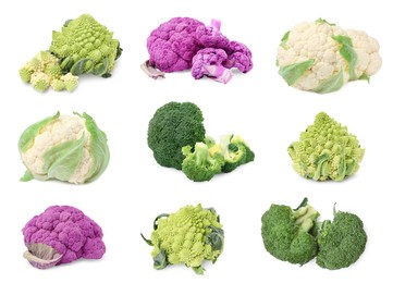 Set with different cauliflower cabbages on white background