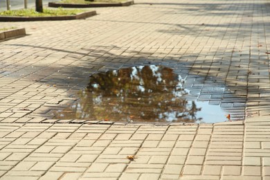 Puddle of rain water on paved pathway outdoors
