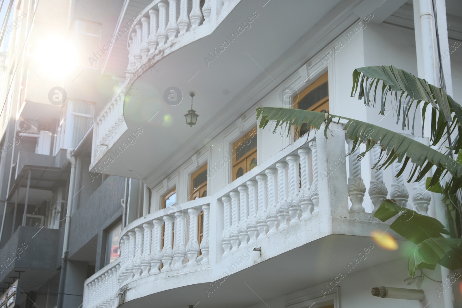 Photo of Exterior of beautiful building with balconies and palm tree outdoors on sunny day, low angle view