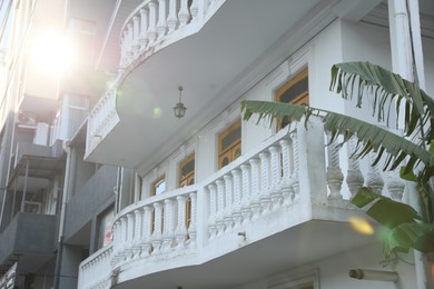 Photo of Exterior of beautiful building with balconies and palm tree outdoors on sunny day, low angle view