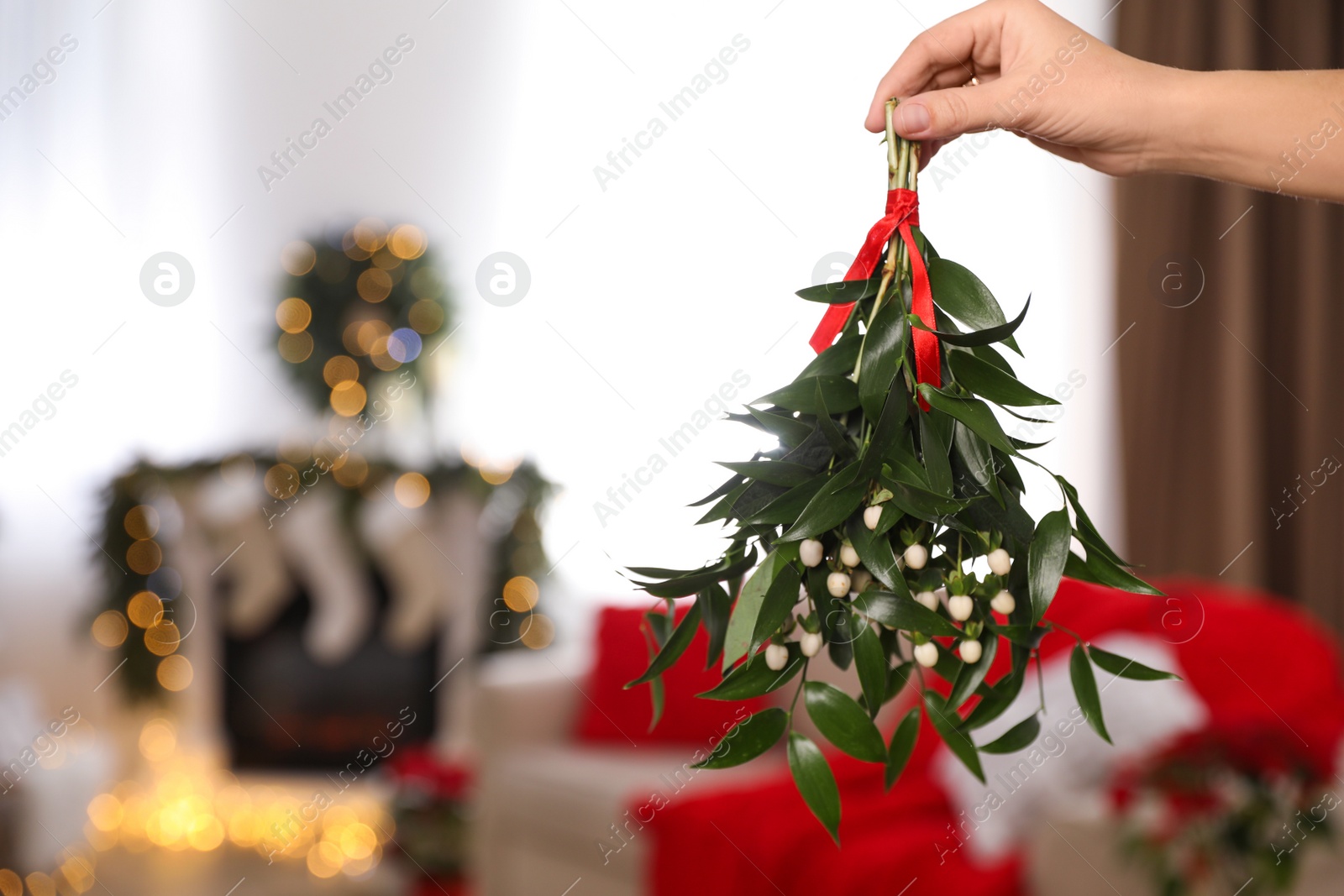 Photo of Woman holding mistletoe bunch in room with Christmas decorations, closeup. Space for text