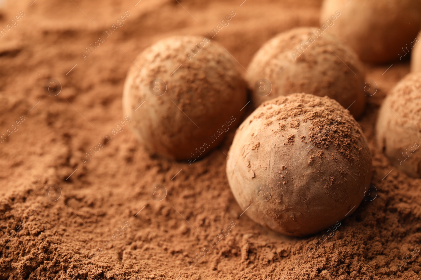 Photo of Tasty chocolate truffles on cocoa powder, closeup. Space for text