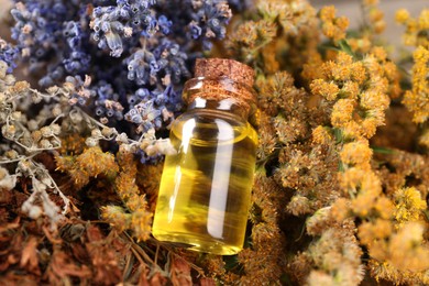 Bottle of essential oil and many different dry herbs, closeup