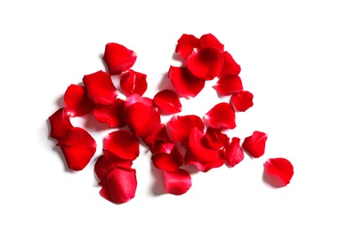 Red rose petals on white background, top view