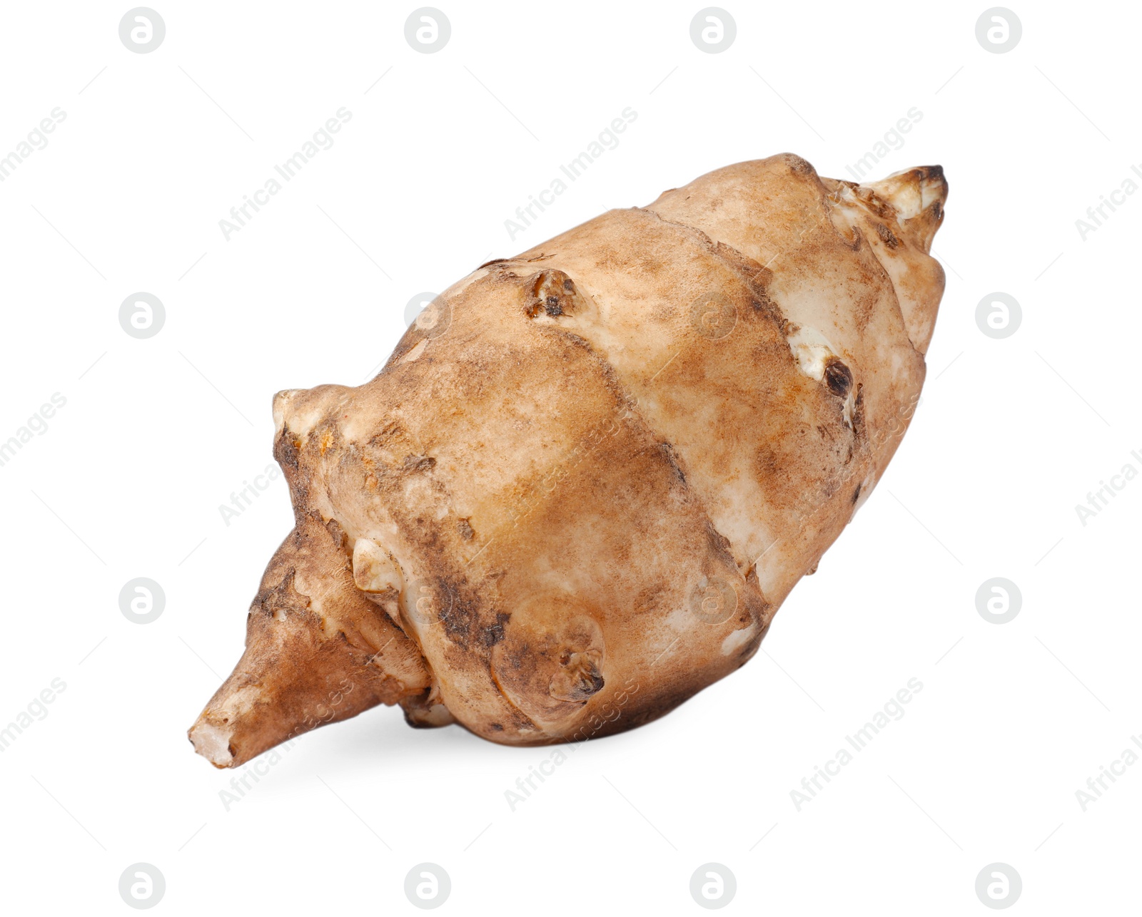 Photo of One raw Jerusalem artichoke isolated on white