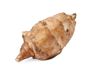 Photo of One raw Jerusalem artichoke isolated on white