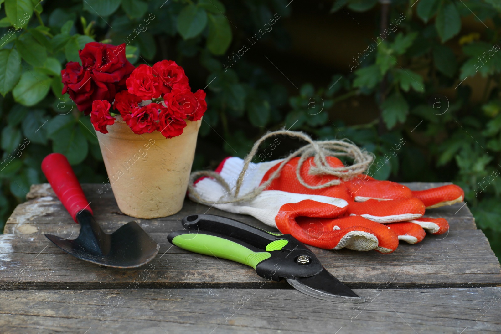 Photo of Secateurs, flowers and other gardening tools on wooden table outdoors