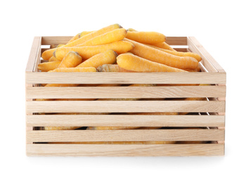 Photo of Raw yellow carrots in wooden crate isolated on white