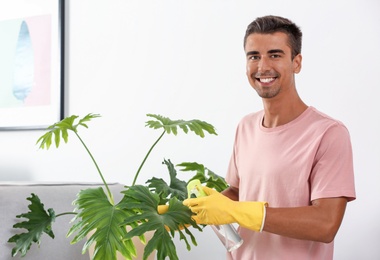 Man cleaning houseplant from dust in room