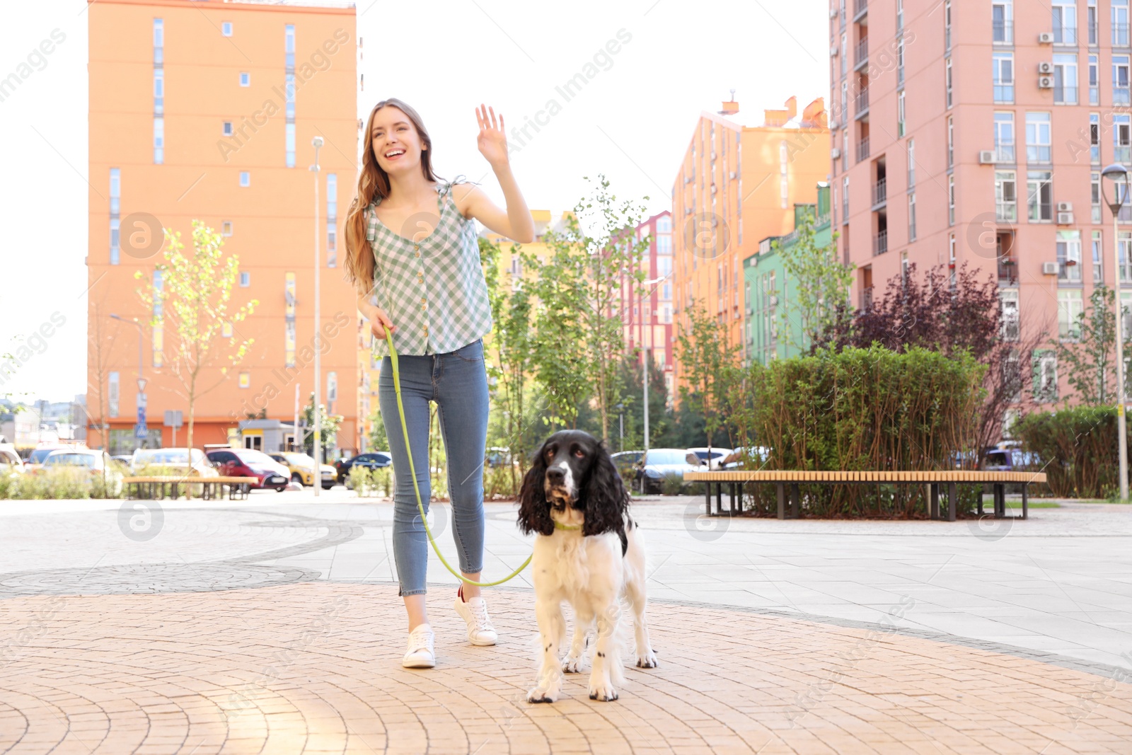 Photo of Woman walking English Springer Spaniel dog outdoors