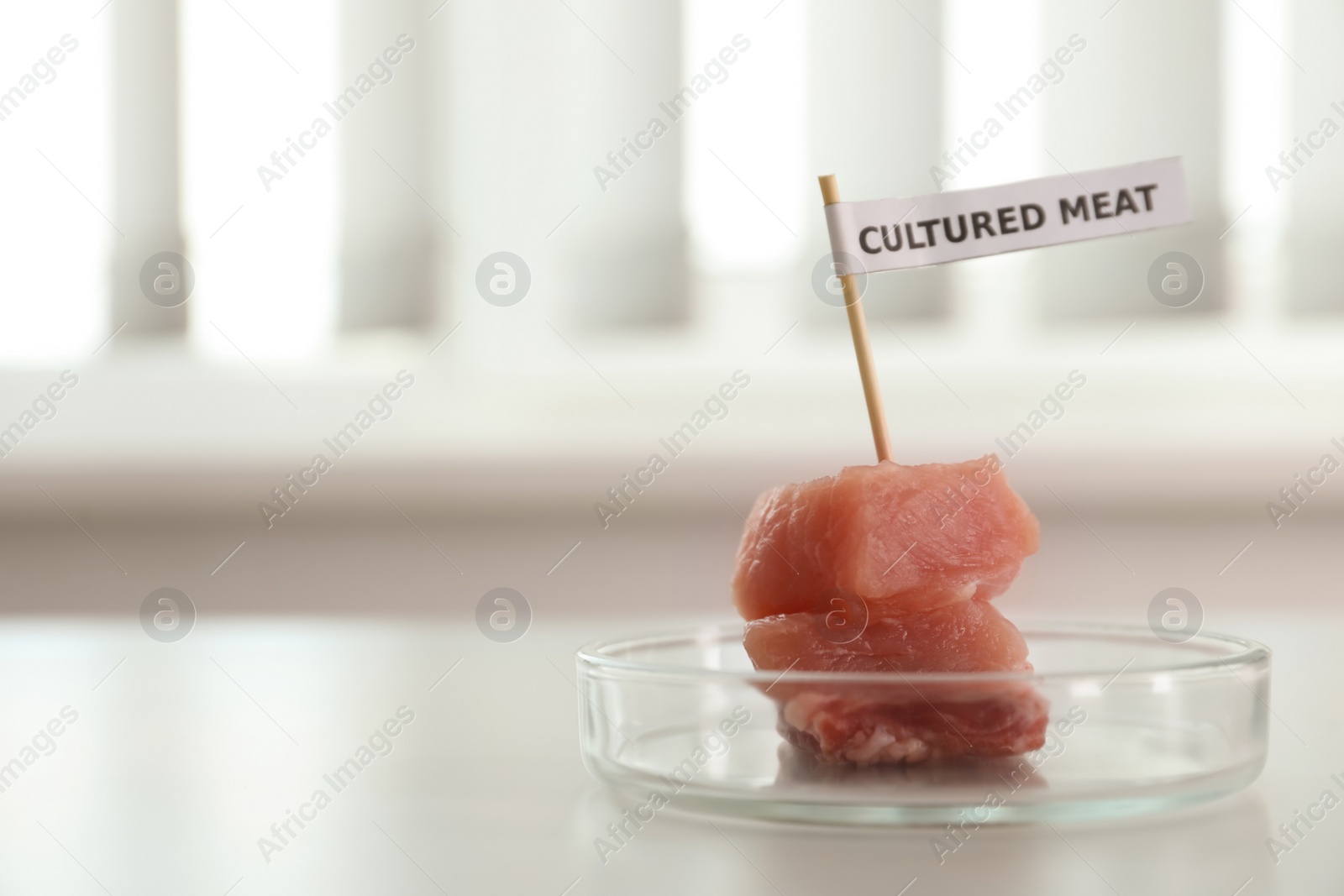 Photo of Pieces of raw cultured meat with toothpick label in Petri dish on white table indoors, space for text