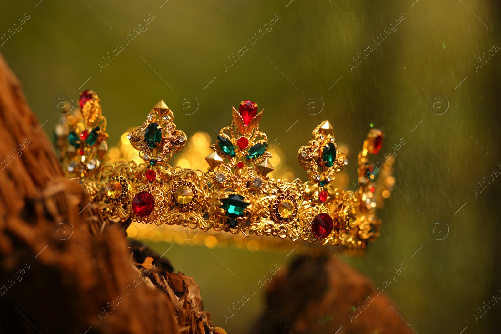 Photo of Beautiful golden crown on wood outdoors, closeup. Fantasy item