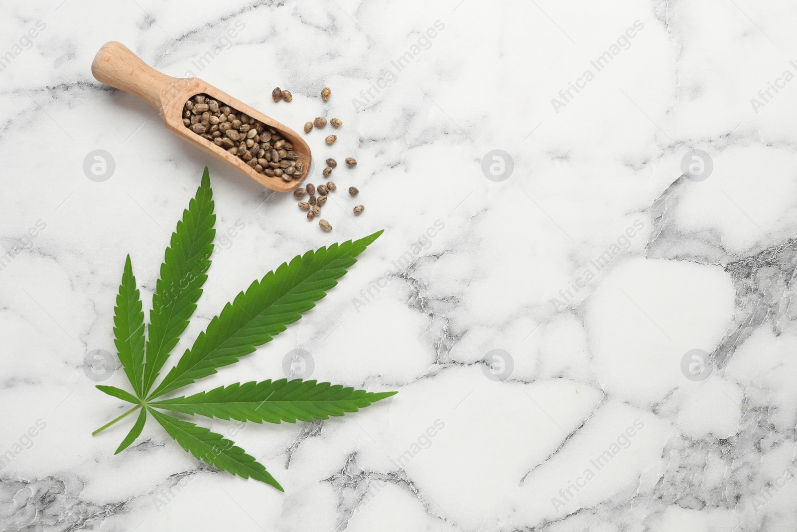 Photo of Fresh green hemp leaf and scoop with seeds on white marble table, flat lay. Space for text