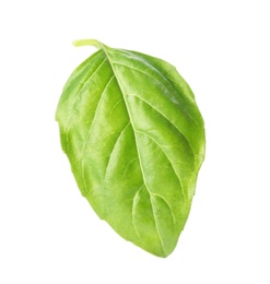 Photo of Fresh green basil leaf on white background