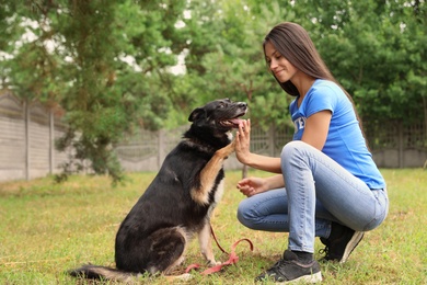 Female volunteer with homeless dog at animal shelter outdoors