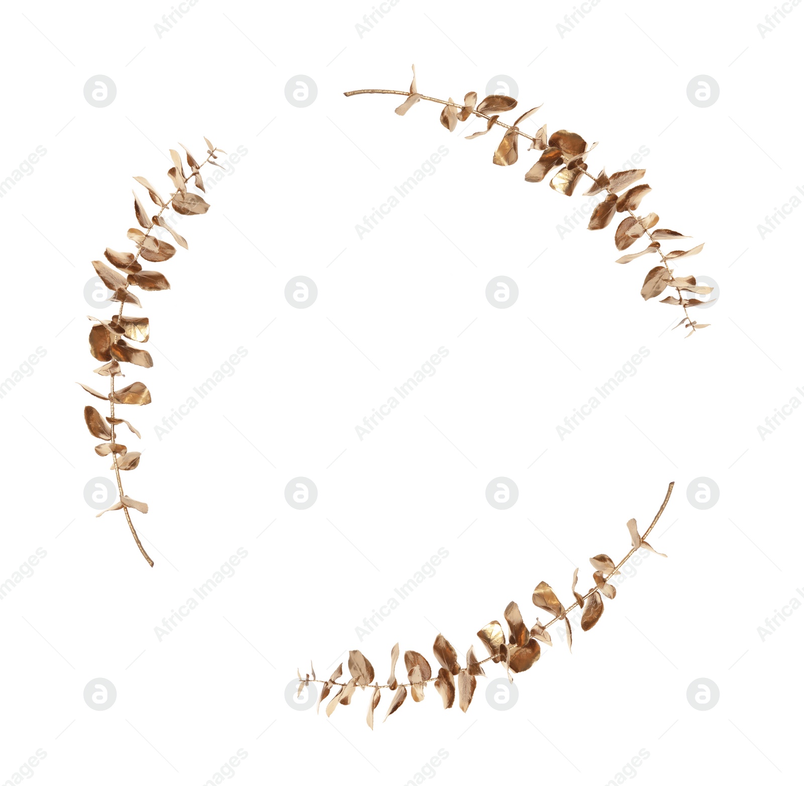 Image of Frame of beautiful gold painted eucalyptus branches with leaves on white background, top view. Collage design