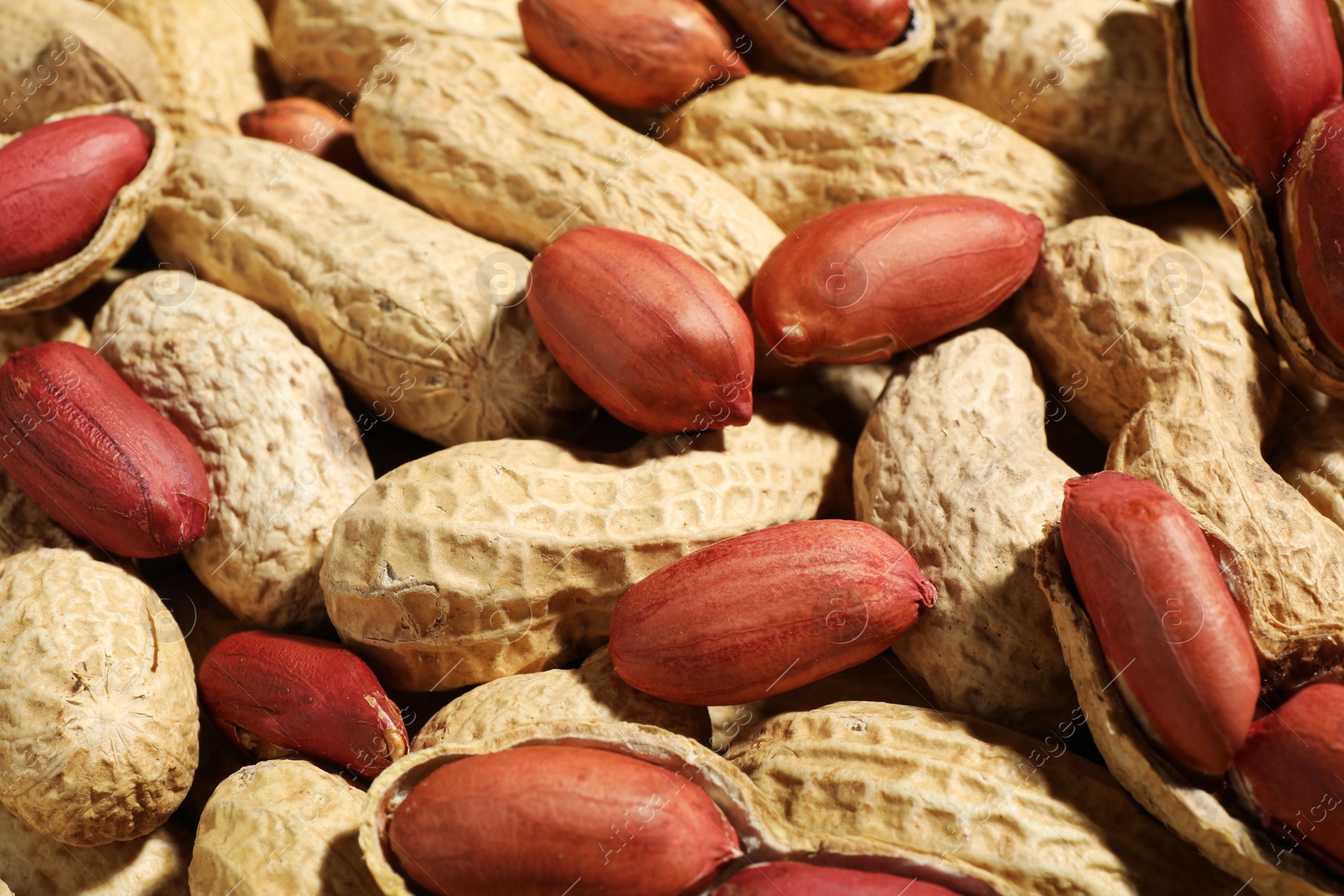 Photo of Many fresh unpeeled peanuts as background, closeup