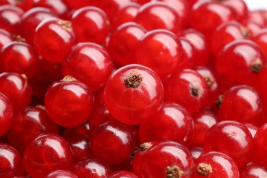 Photo of Many tasty fresh red currant berries as background, closeup