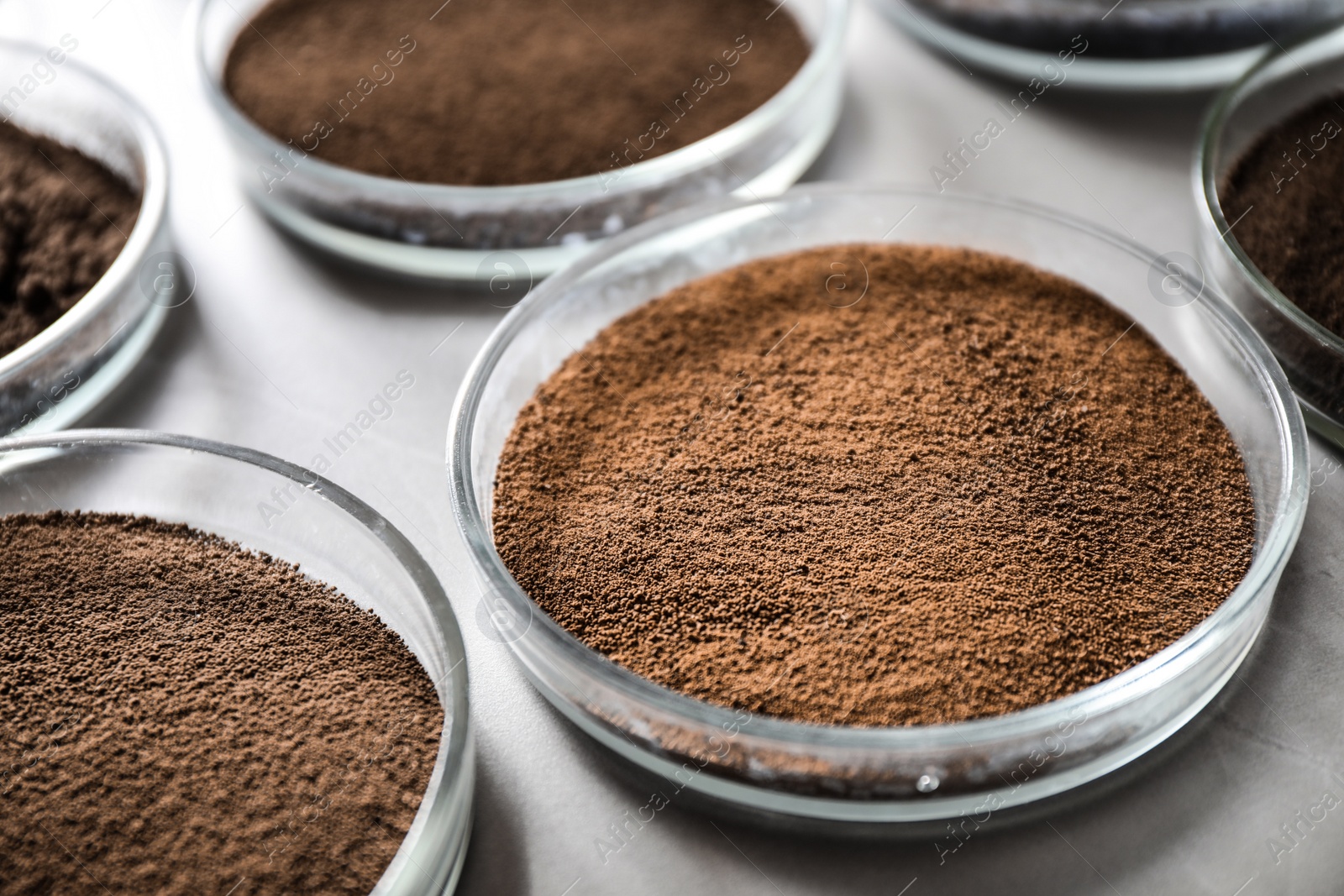 Photo of Petri dishes with soil samples on grey table, closeup. Laboratory research