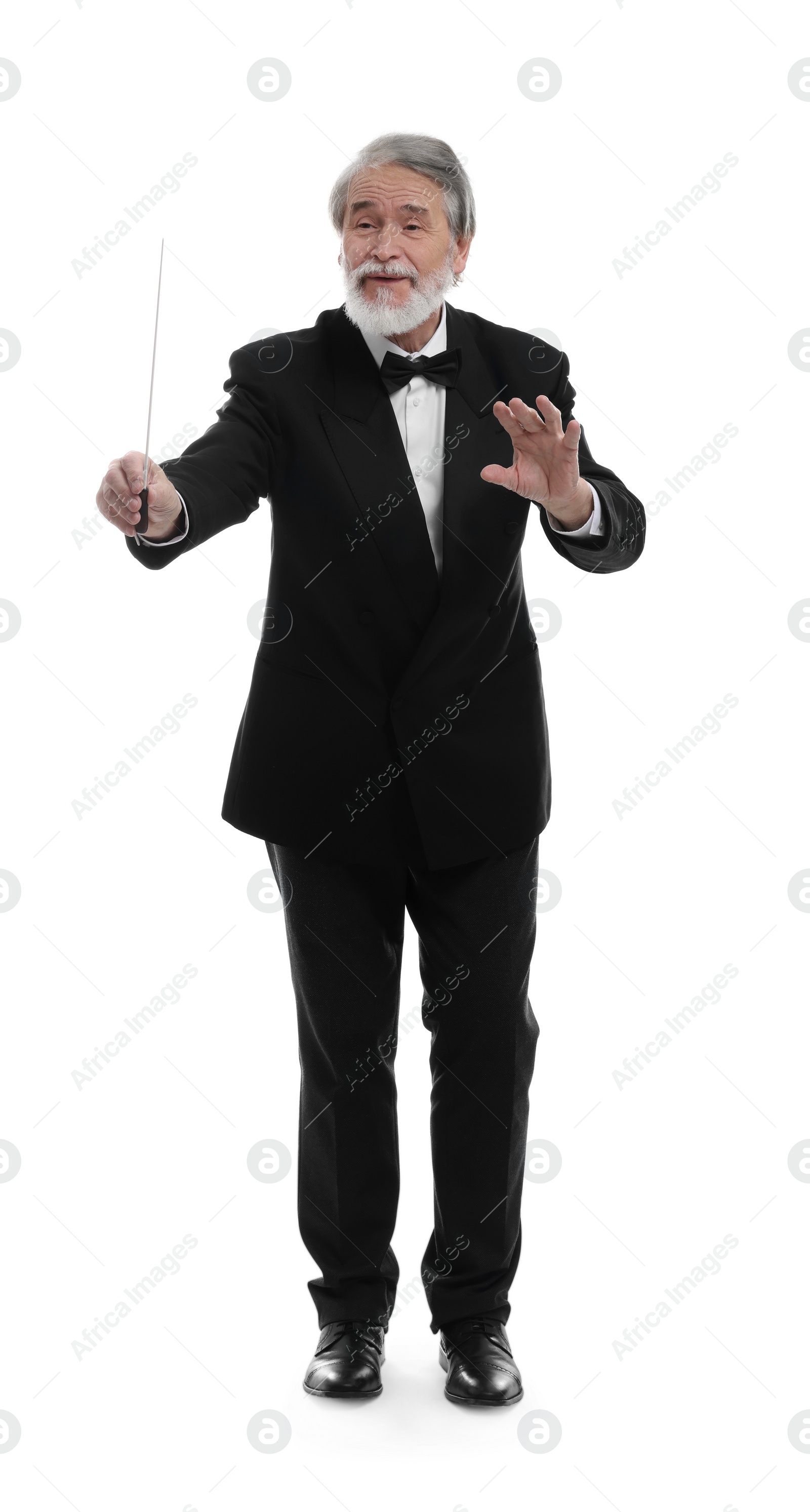 Photo of Professional conductor with baton on white background