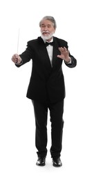 Professional conductor with baton on white background