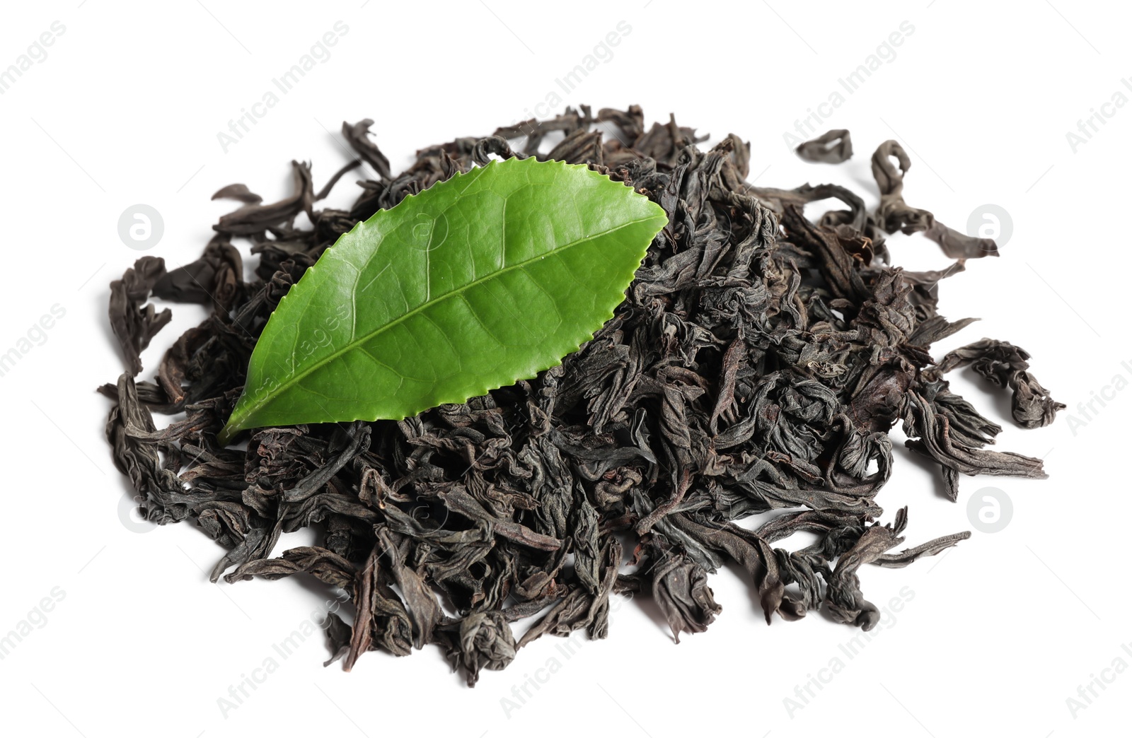 Photo of Dry and fresh tea leaves isolated on white