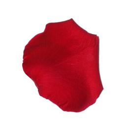 Photo of Red rose flower petal on white background