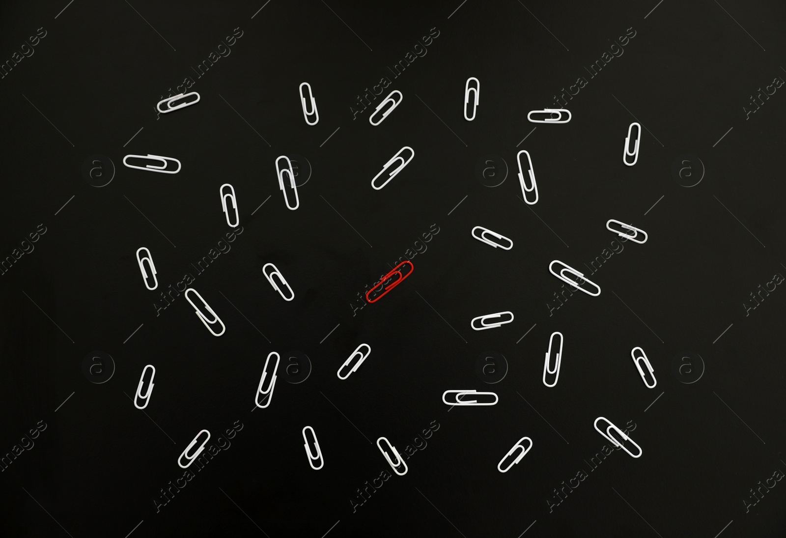 Photo of White paper clips and red one on black background, flat lay