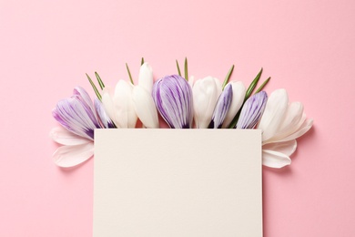 Photo of Beautiful spring crocus flowers and card on color background, flat lay. Space for text