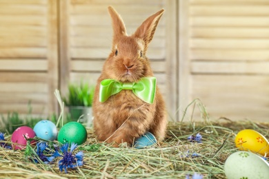 Adorable Easter bunny and dyed eggs on straw