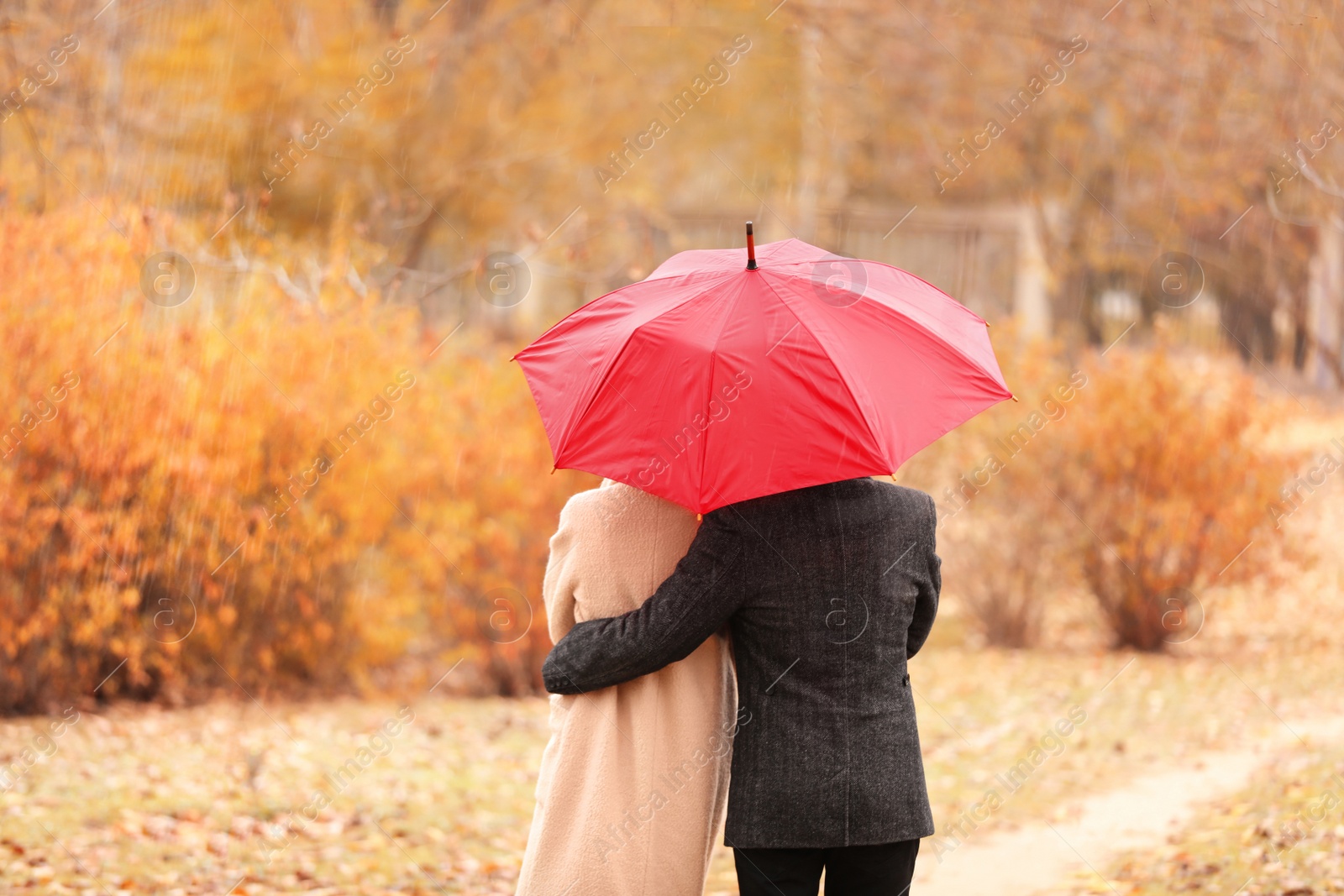 Photo of Young romantic couple with umbrella in park on autumn day