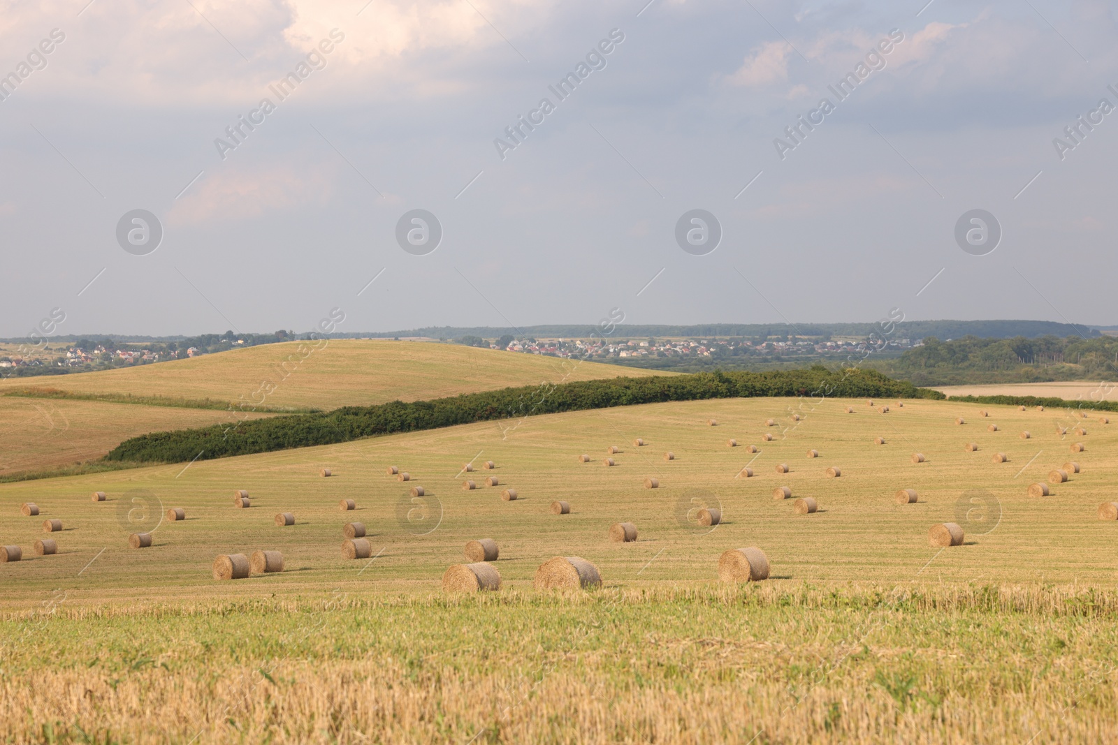 Photo of Beautiful view of agricultural field with hay bales