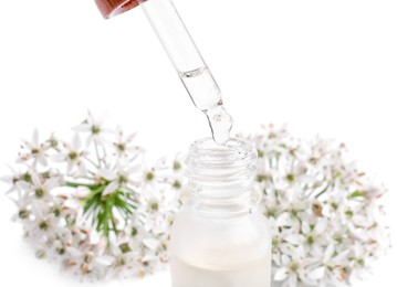 Dripping essential oil from pipette into bottle near garlic chives flowers on white background, closeup