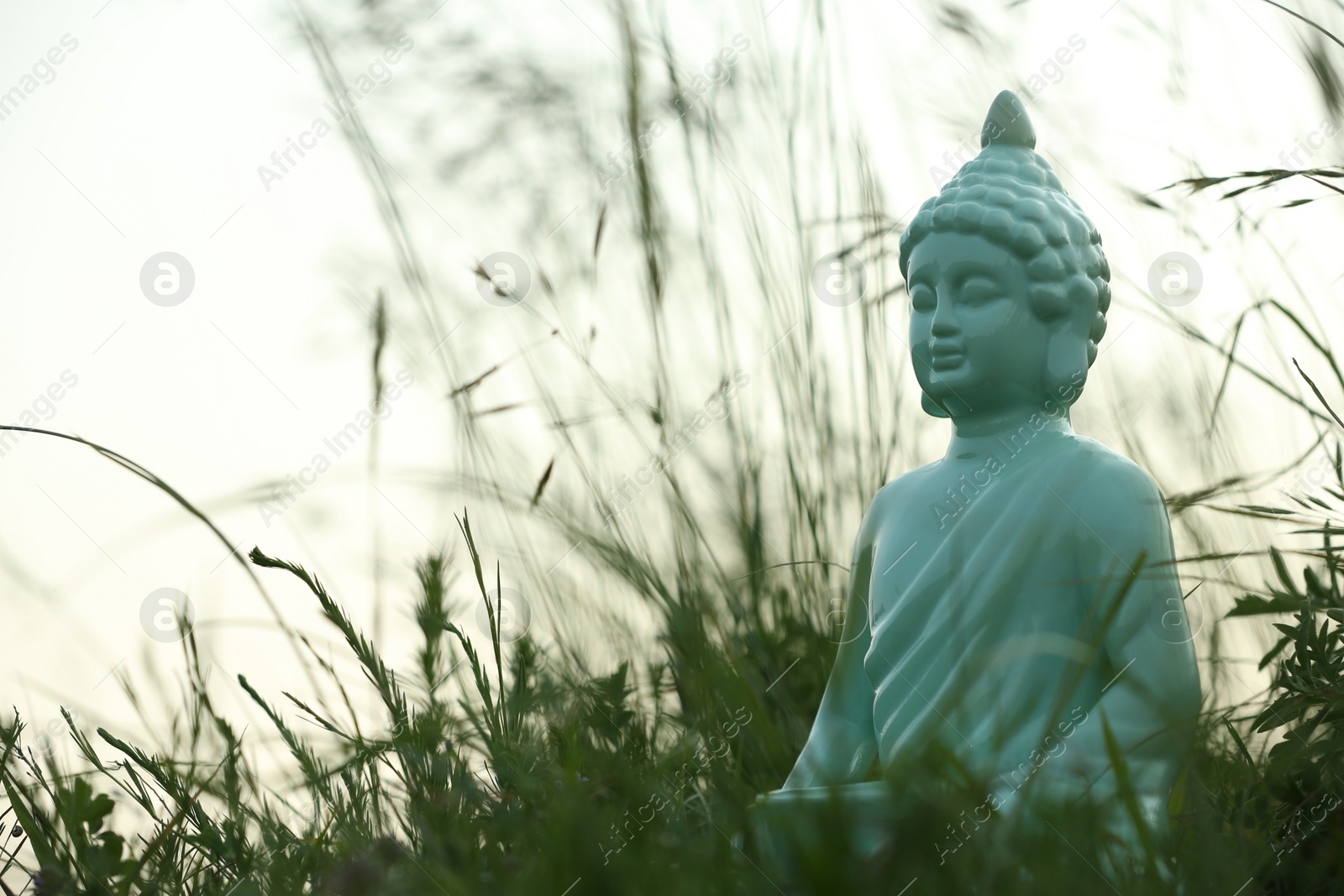 Photo of Decorative Buddha statue in green grass outdoors, space for text