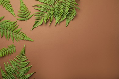Photo of Beautiful tropical fern leaves on brown background, flat lay. Space for text