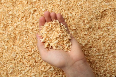 Photo of Woman holding dry natural sawdust, closeup view