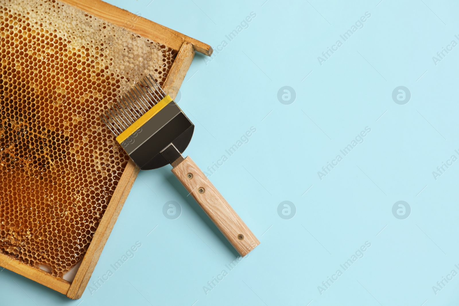 Photo of Honeycomb frame and uncapping fork on light blue background, flat lay with space for text. Beekeeping