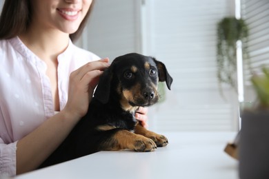 Photo of Woman with cute puppy indoors, closeup. Lovely pet