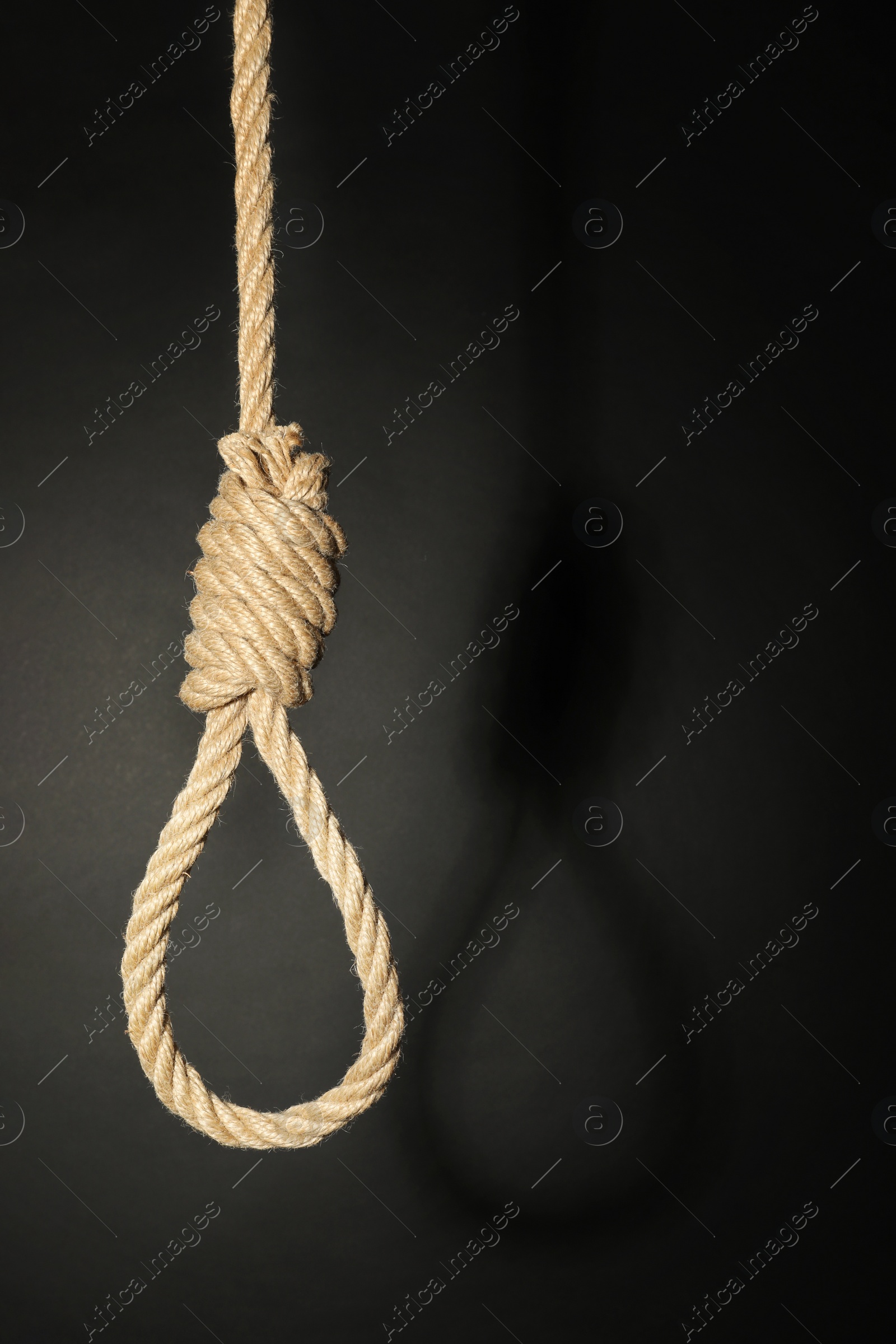 Photo of Rope noose with knot on black background, space for text