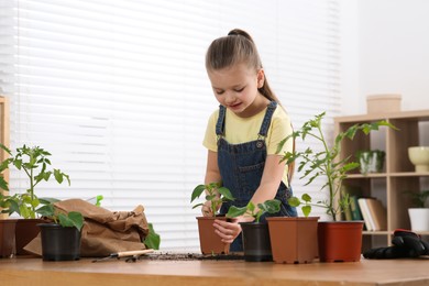 Cute little girl planting seedling in pot at wooden table in room, space for text