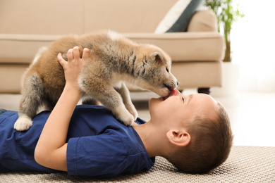 Photo of Little boy with Akita inu puppy on floor at home. Friendly dog