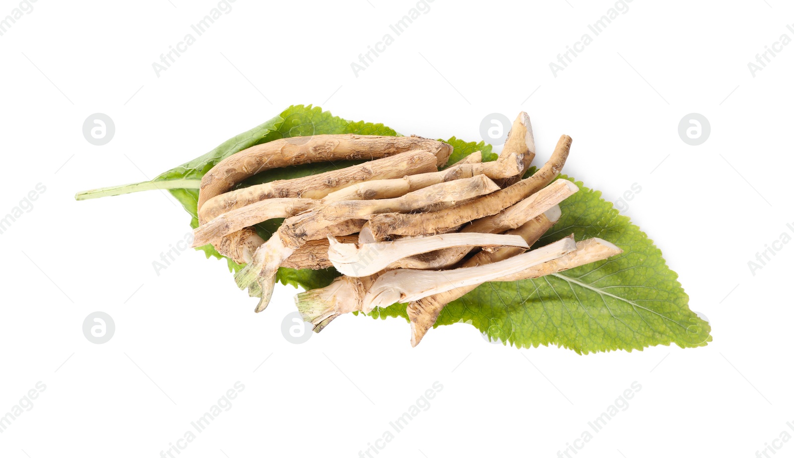 Photo of Cut horseradish roots and leaf isolated on white, top view