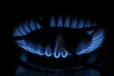 Photo of Gas burner with blue flame in darkness, closeup