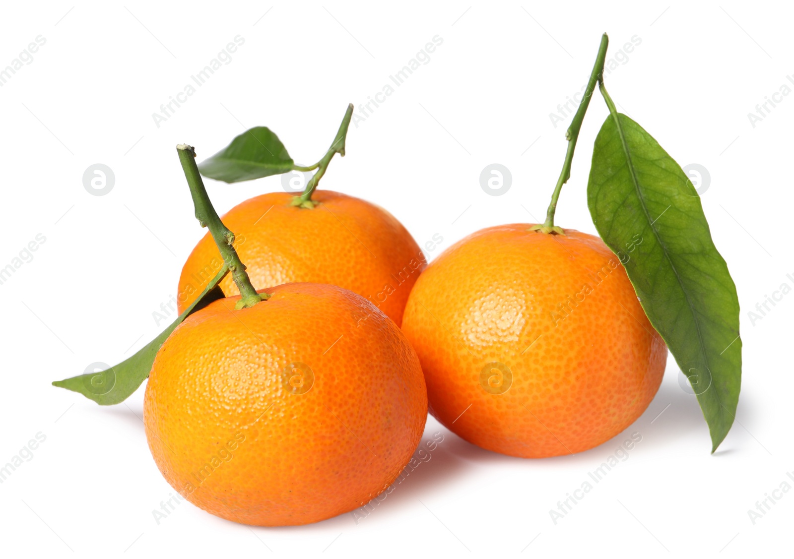 Photo of Fresh ripe juicy tangerines with green leaves isolated on white