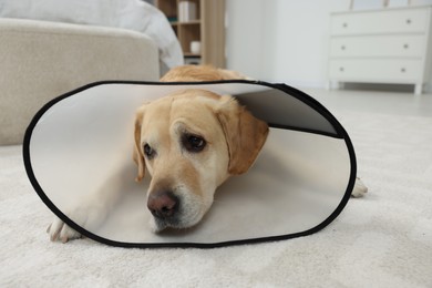 Photo of Sad Labrador Retriever with protective cone collar lying on floor in room