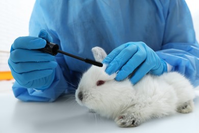 Photo of Scientist with rabbit and mascara brush in chemical laboratory, closeup. Animal testing